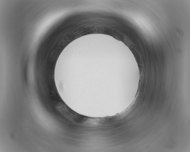 X0000114550190200911161426