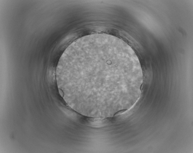 X0000114550191200911161426