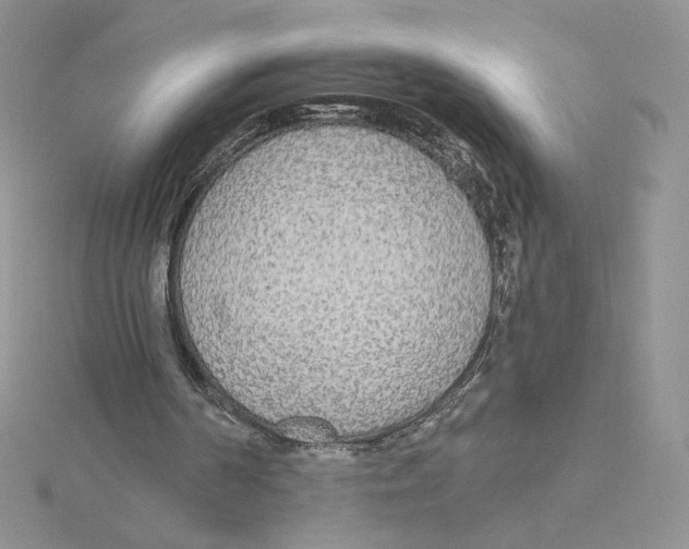 X0000114550194200911161425