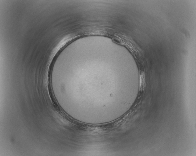 X0000114550195200911161425