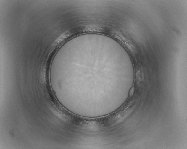 X0000114550203200911161425