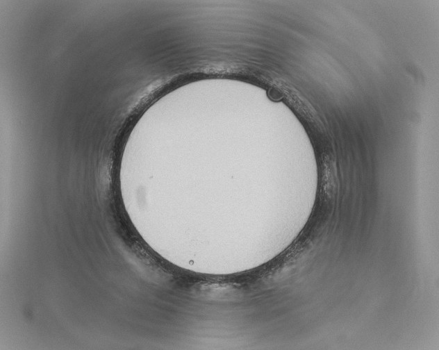X0000114550208200911161425