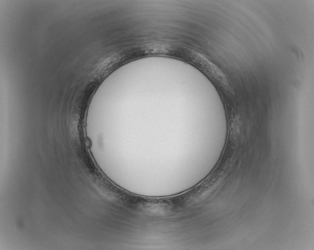 X0000114550209200911161425