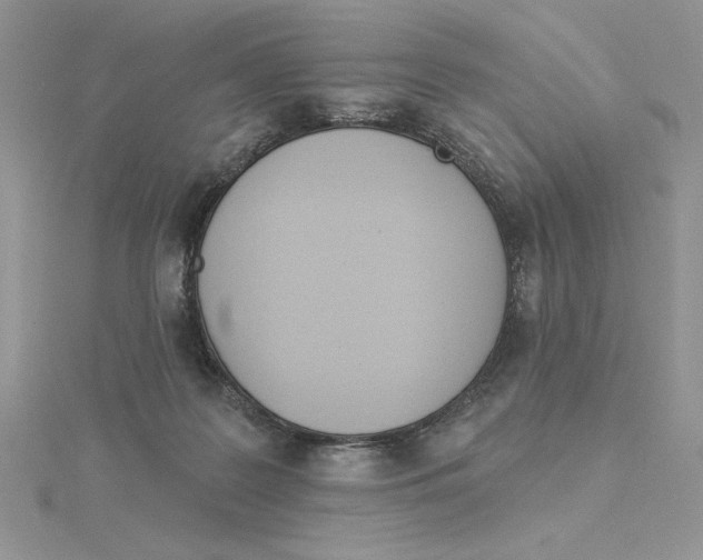 X0000114550219200911161425