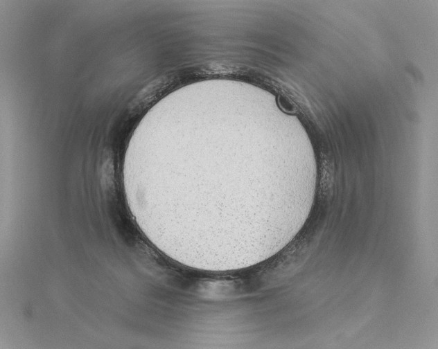 X0000114550220200911161425