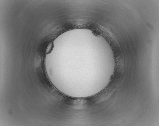 X0000114550225200911161425