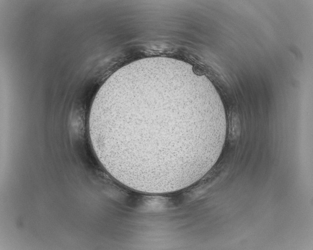 X0000114550226200911161425
