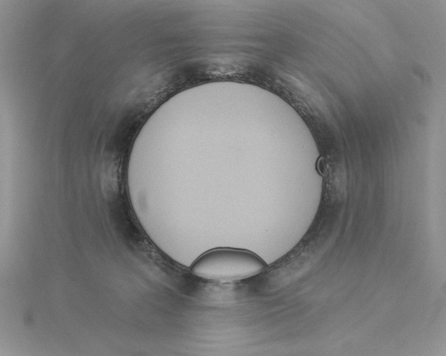 X0000114550227200911161425