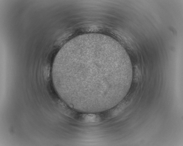 X0000114550230200911161425