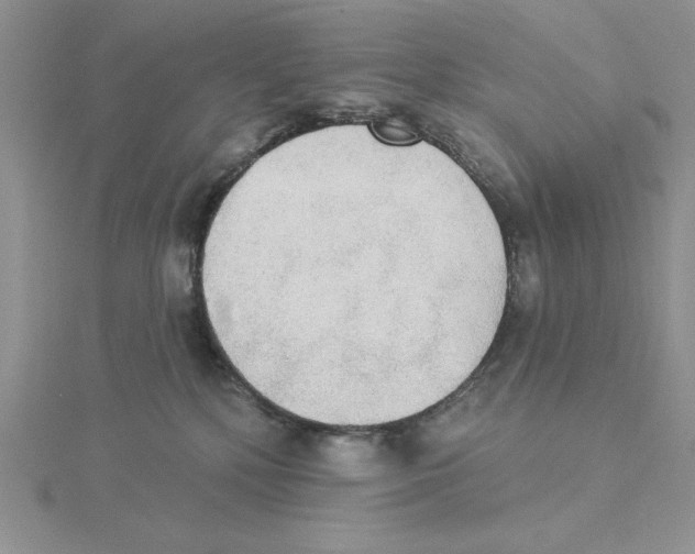 X0000114550232200911161425