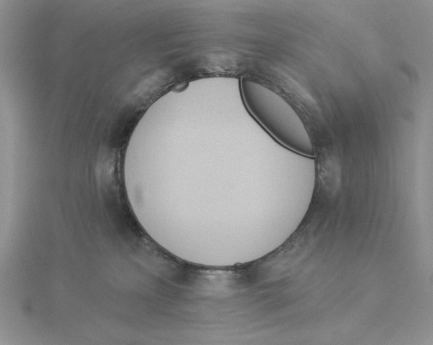 X0000114550233200911161425