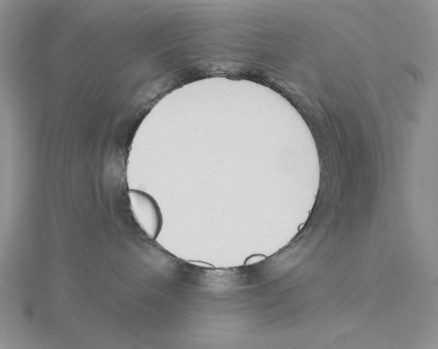 X0000114550240200911161425