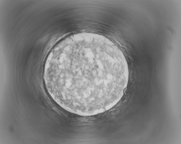 X0000114550241200911161424