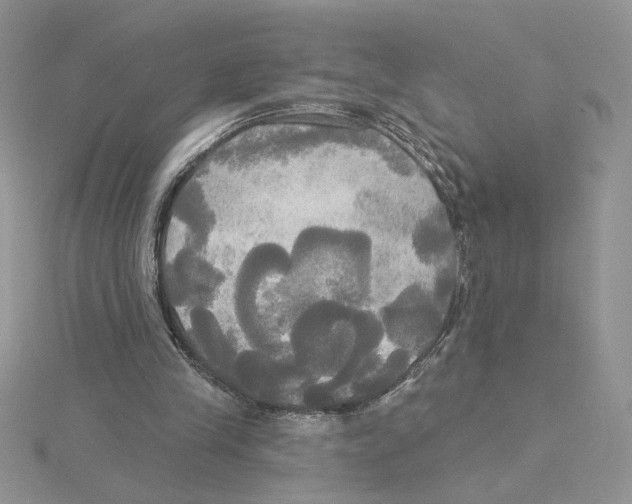 X0000114550245200911161424