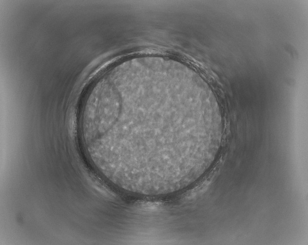 X0000114550247200911161424