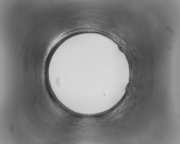 X0000114550248200911161424