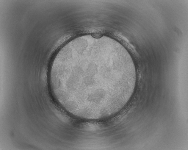 X0000114550250200911161424