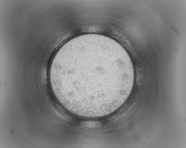 X0000114550251200911161424