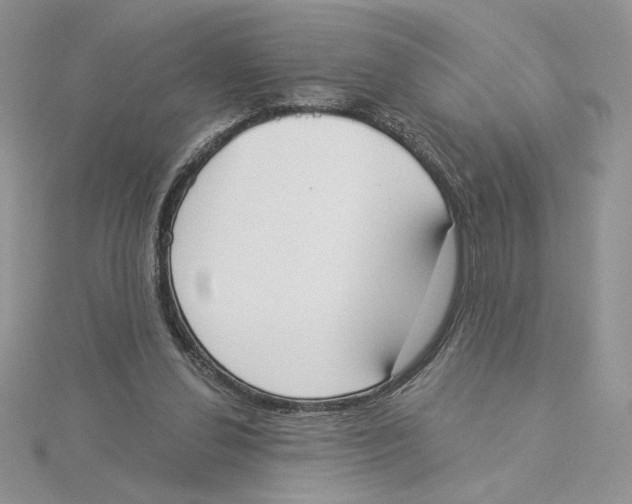 X0000114550252200911161424