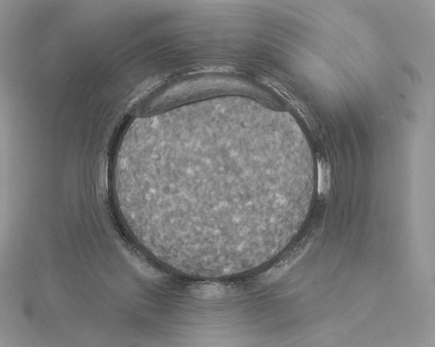 X0000114550253200911161424