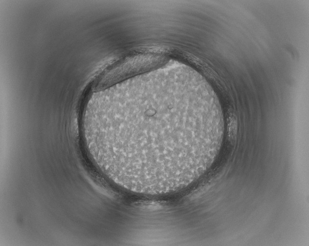 X0000114550254200911161424