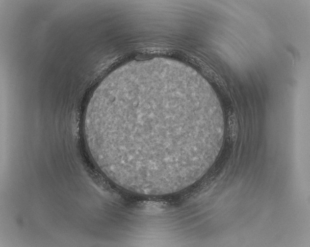 X0000114550255200911161424