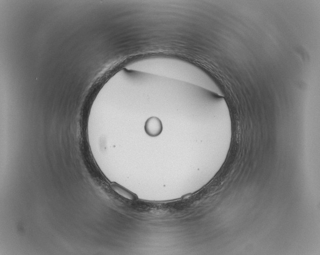 X0000114550256200911161424