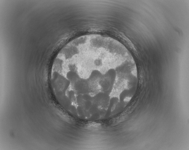 X0000114550257200911161424