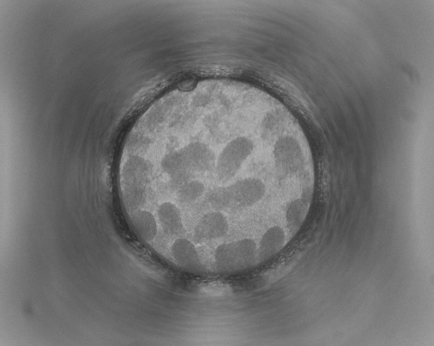 X0000114550258200911161424