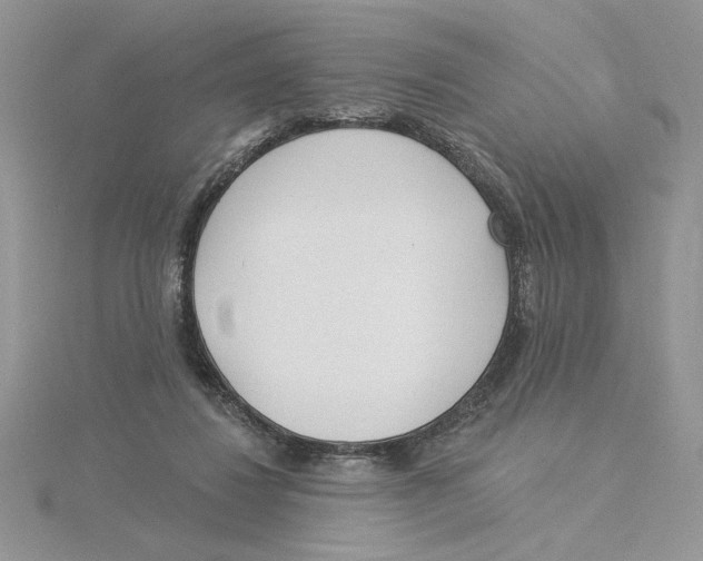 X0000114550260200911161424