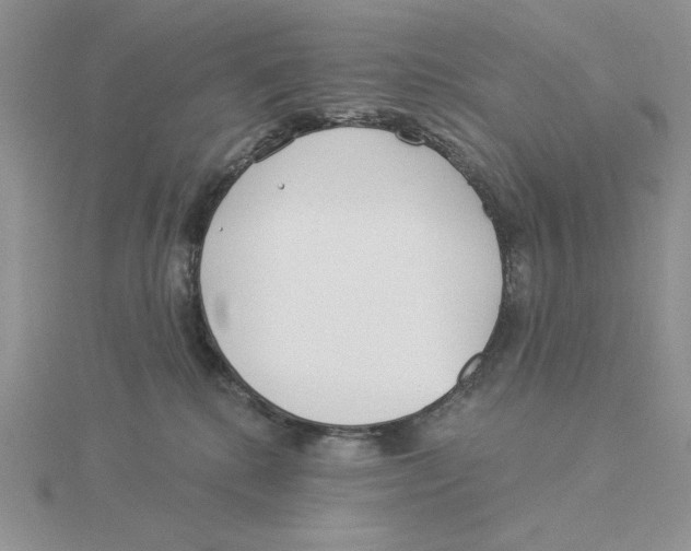 X0000114550280200911161425