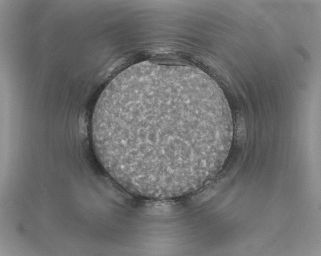 X0000114550282200911161425