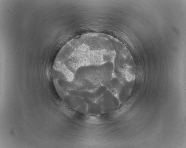 X0000114550285200911161425