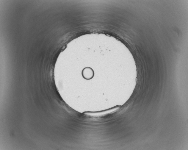X0000114550288200911161425