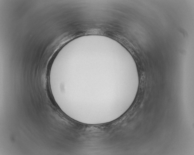 X0000114550290200911161424