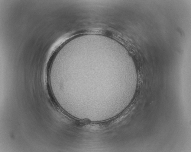 X0000114550294200911161424