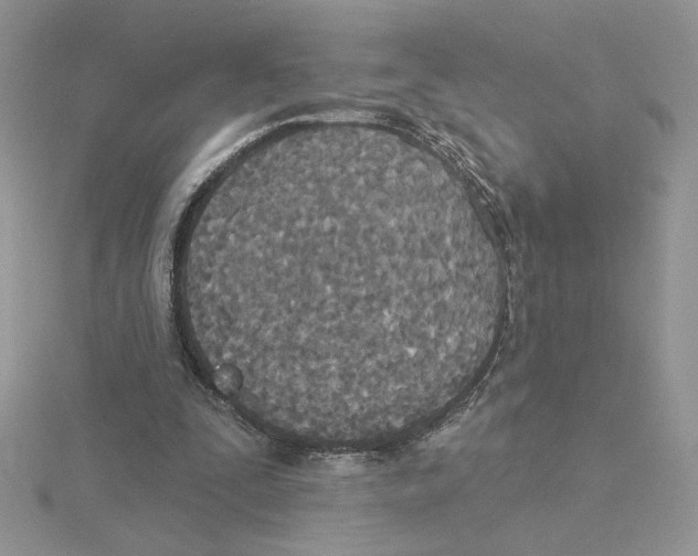 X0000114550295200911161424