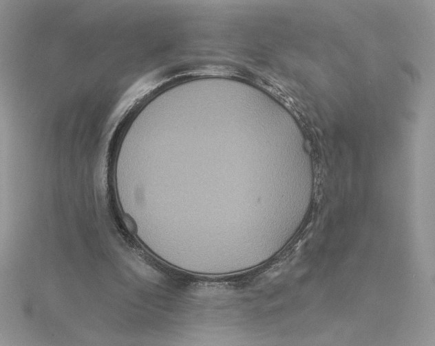 X0000114550296200911161424