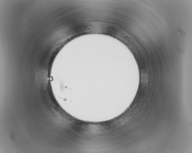 X0000114550302200911161424