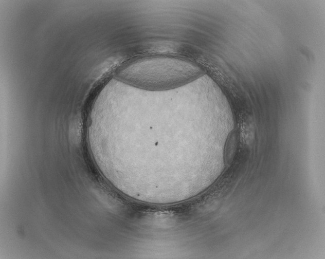 X0000114550304200911161424
