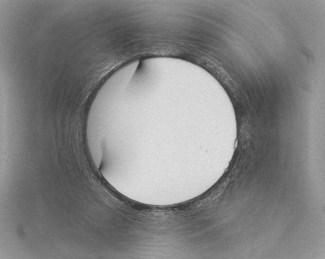 X0000114550305200911161424