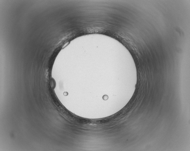 X0000114550308200911161424