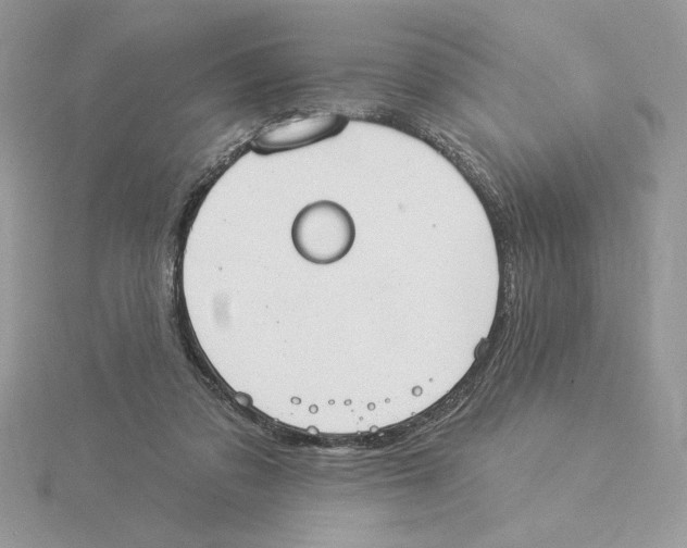 X0000114550309200911161424