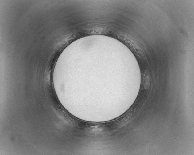 X0000114550310200911161424