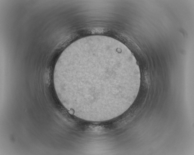 X0000114550311200911161424