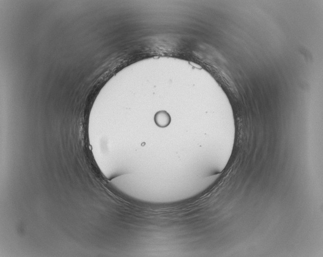 X0000114550313200911161424