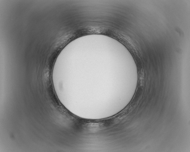 X0000114550314200911161424