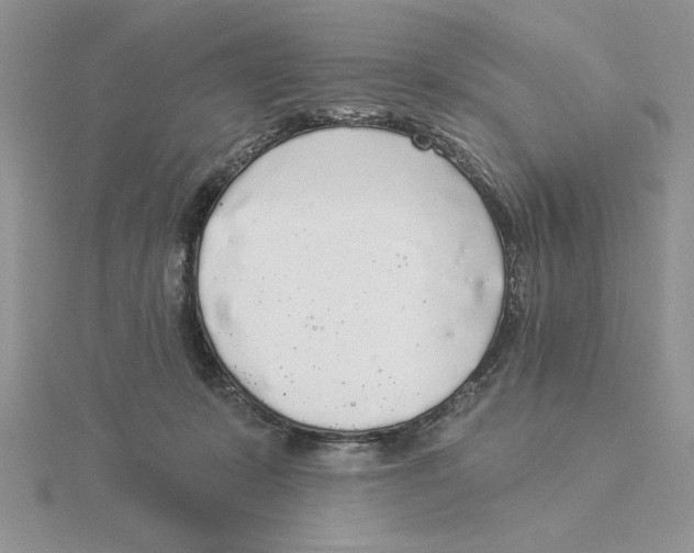 X0000114550319200911161424