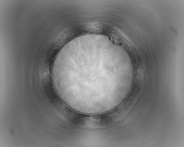 X0000114550320200911161424