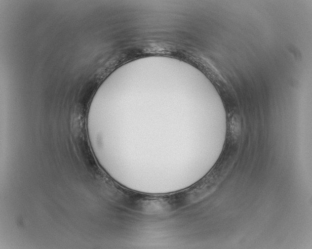 X0000114550322200911161424